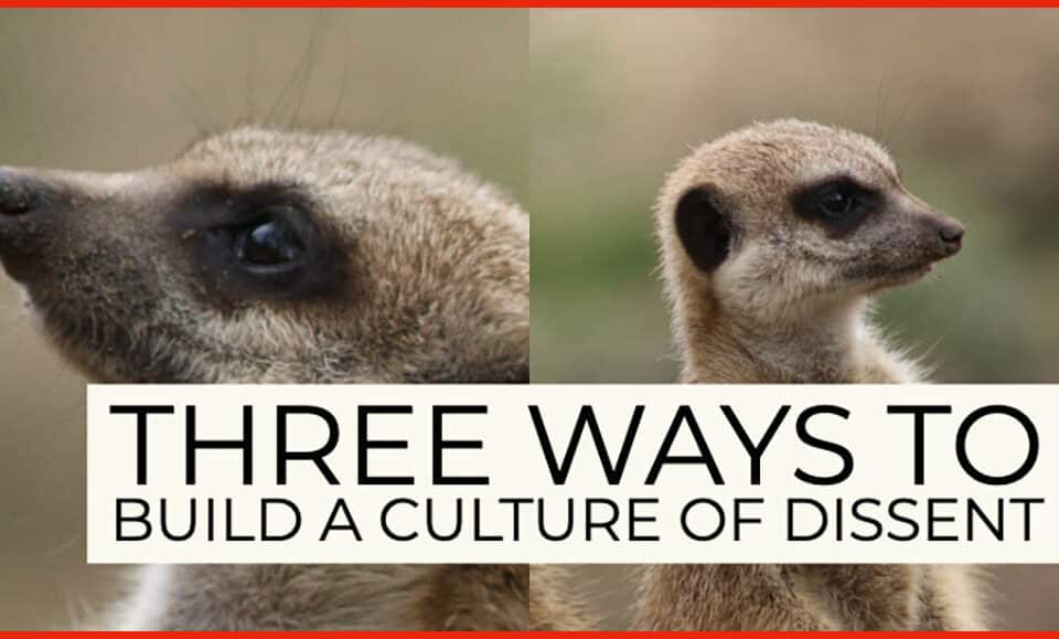 Meerkats symbolizing the theme of leadership in work and career with text: "Three Ways to Build a Culture of Dissent." Perfect for HR talent insights.
