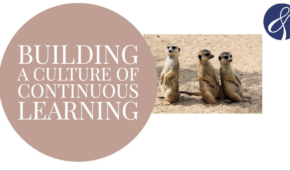 Three meerkats stand alert beside a text: "Building a Culture of Continuous Learning." An inspiring reminder of growth in work, career, and HR leadership.