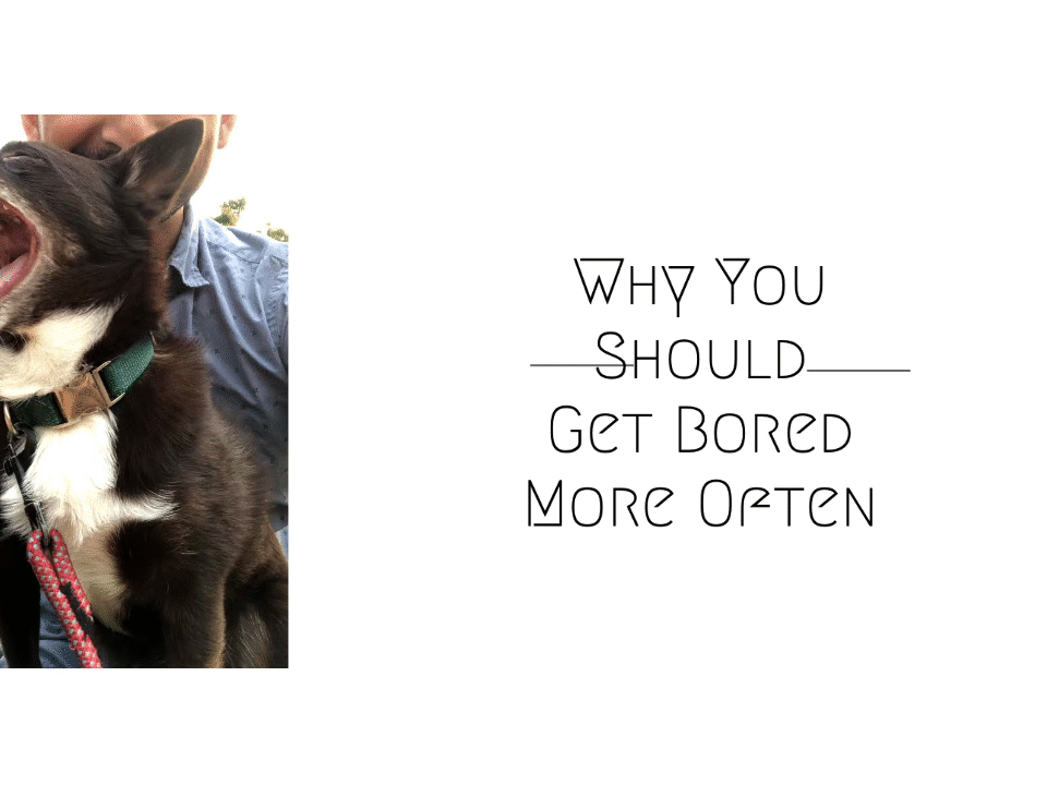A happy dog yawning with text urging you to embrace boredom. Discover leadership and career growth through creativity, from an insightful author.
