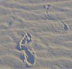 rolemodel@fz7.4ea.myftpupload.com