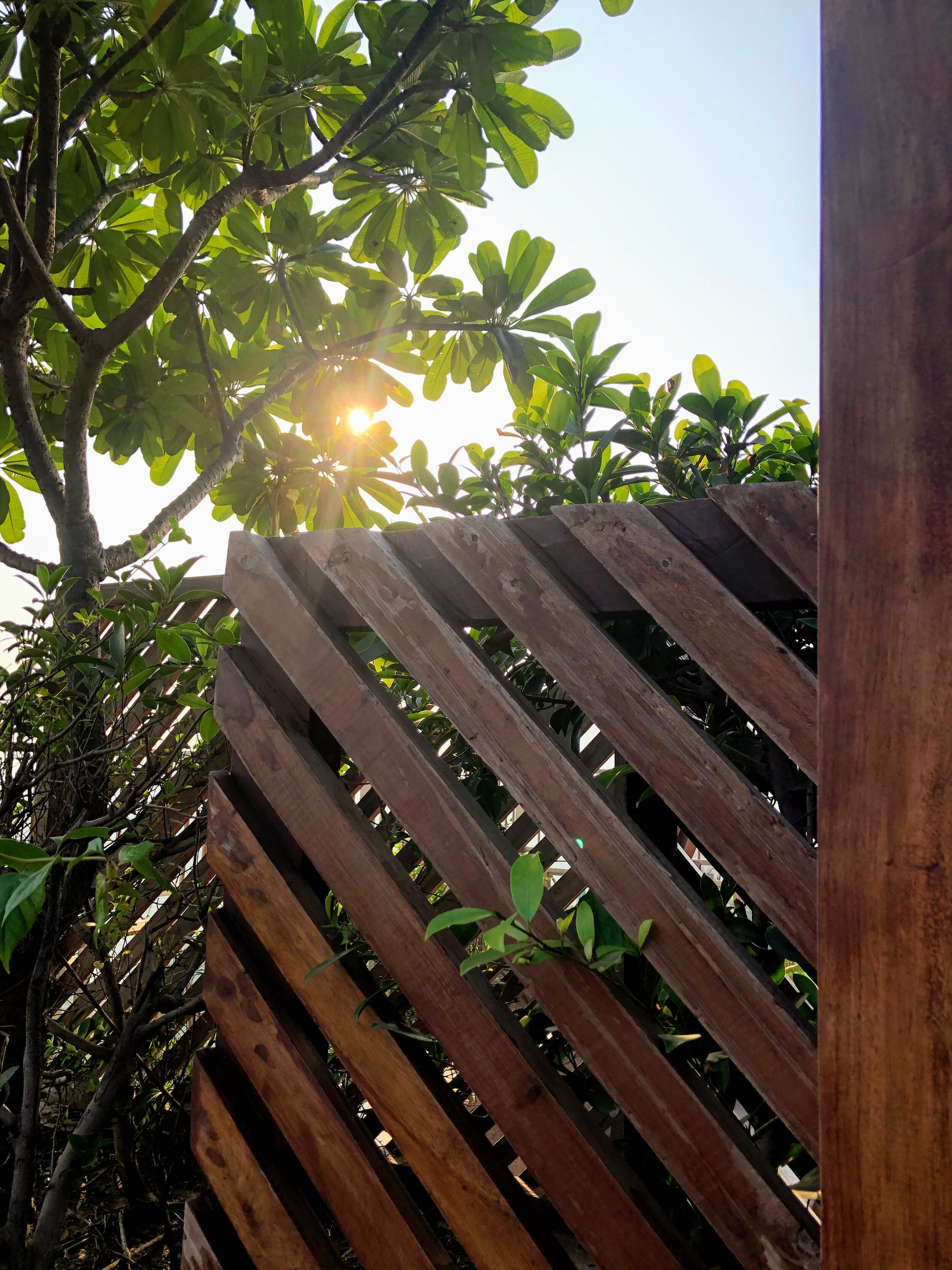 The spot has to be checked for not just the sun rise but also for the shorshe fish or shorba