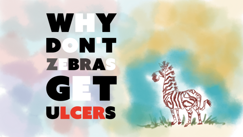 A friendly zebra stands next to the title 'Why Zebras Don't Get Ulcers,' a book review that explores stress and health.