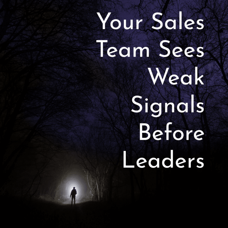 A silhouette of a person standing on a dark, misty forest path illuminated by a bright light, with text about sales team insights.
