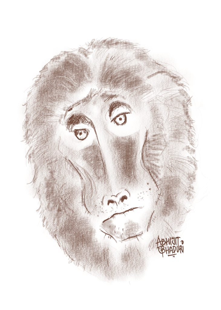 A soft pencil sketch of a baboon face with a thoughtful expression, signed by the artist Abhijit Bhaduri in the bottom corner.